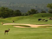 Golf Holidays South Africa