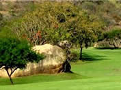 Golf Courses South Africa