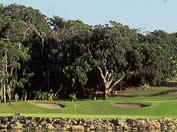 Golf Courses South Africa