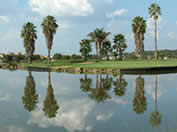 Golf Courses South Africa