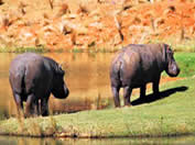 Golf Courses South Africa