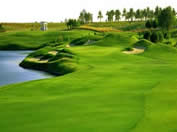 Dubai Golf Courses